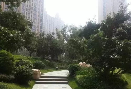 園林綠化工程施工技術規范 值得深入學習的專業指南